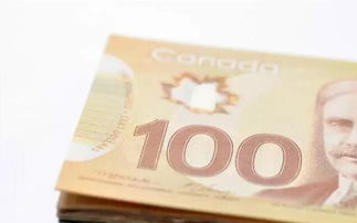 加拿大出国留学多少钱？加拿大出国留学多少钱一年？